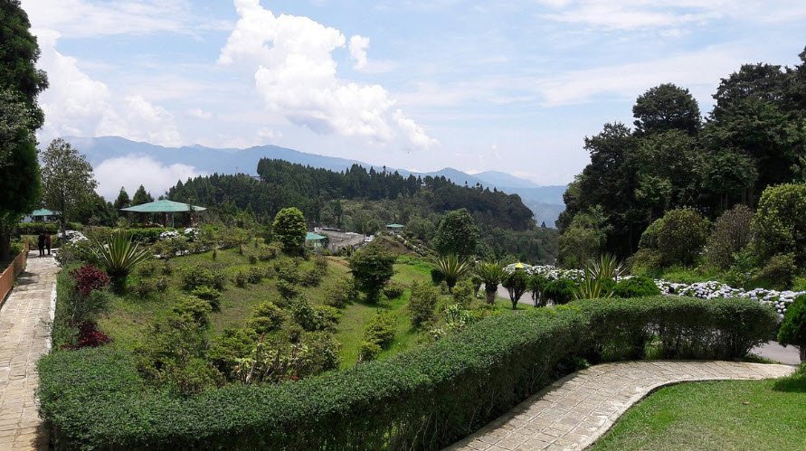 Delo View Point